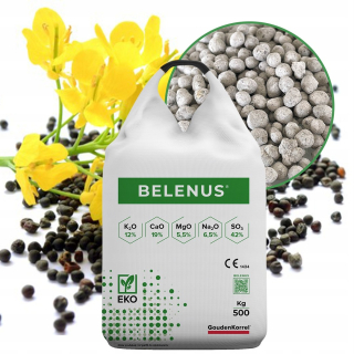 BELENUS - sírne hnojivo na repku, bezchloridové, 500kg
